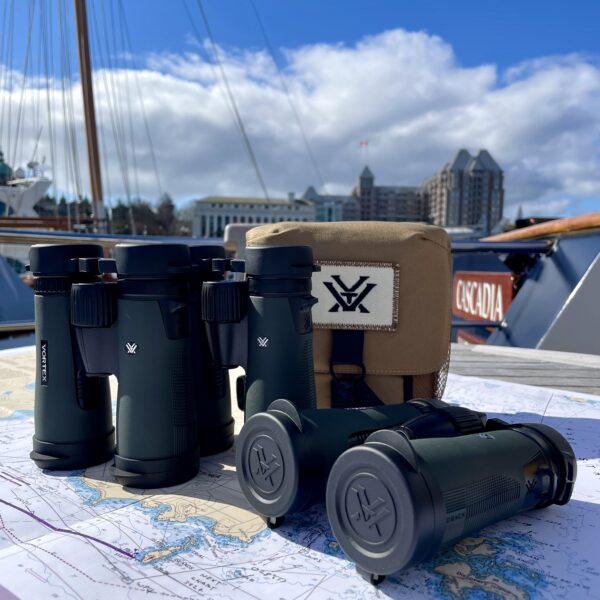 Vortex Diamondback HD 10x42 3 Binoculars for a family